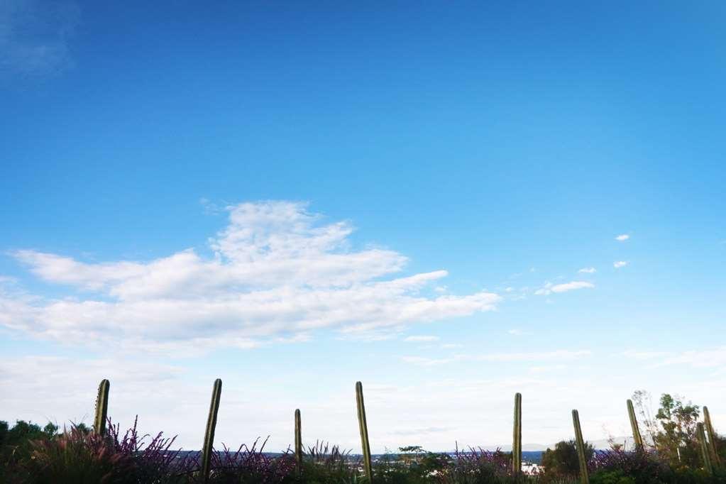 Albor San Miguel De Allende Tapestry Collection By Hilton Exterior photo