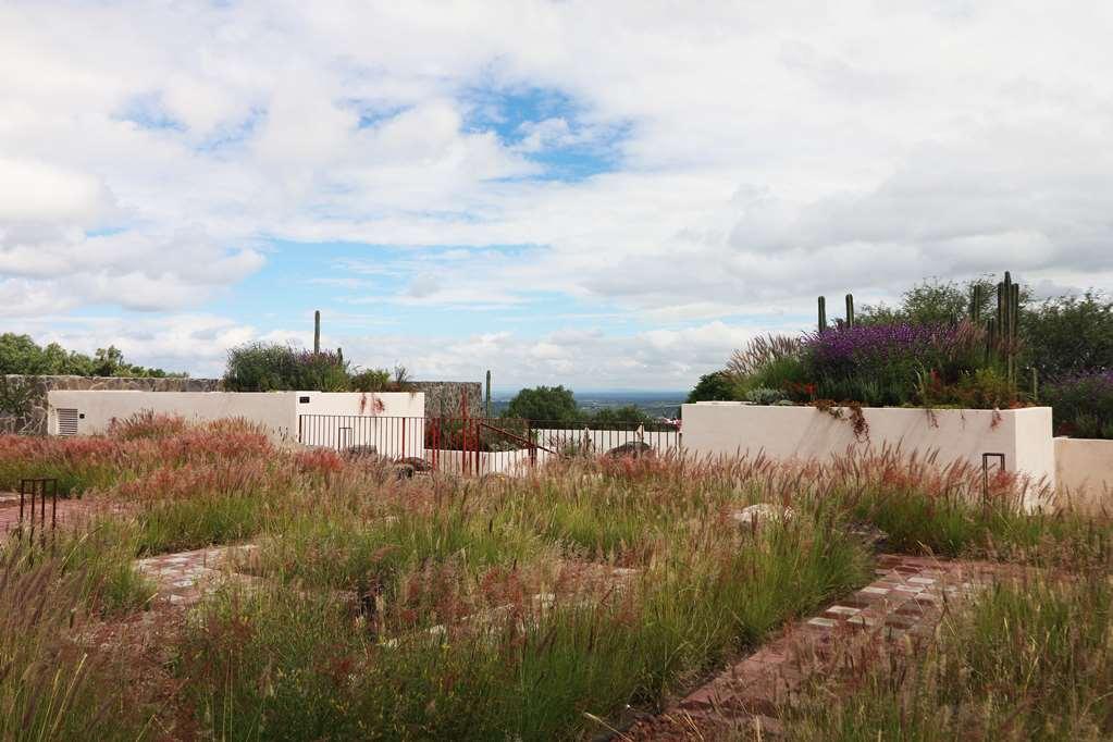 Albor San Miguel De Allende Tapestry Collection By Hilton Exterior photo